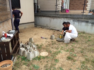 茨城県取手市ジャワ鉄平と洗い出しのコラボレーション