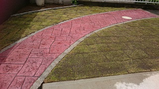 千葉県佐倉市スタンプコンクリートピンコロライン芝張り