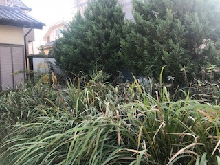 茨城県牛久市Ｕ様邸伐採草刈りブロックフェンス解体撤去処分
